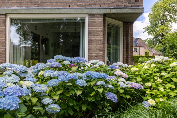 Foto 63 van Lijsterbeslaan 81