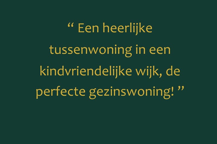 Foto 6 van Schipmolen 4