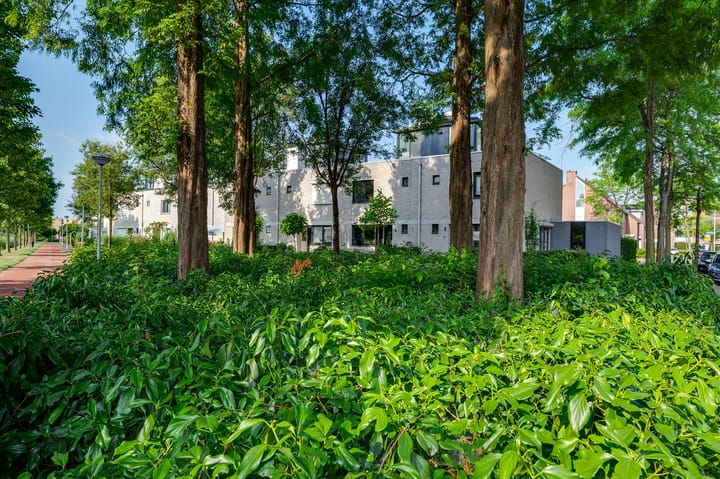 Foto 7 van Schipmolen 4