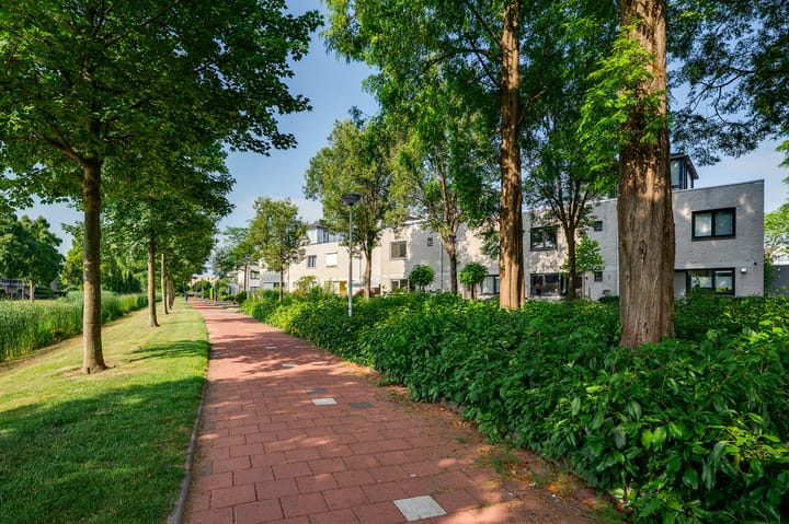 Foto 34 van Schipmolen 4