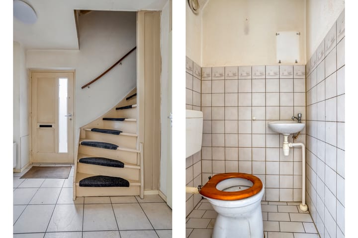 Foto 3 van Houtduif 11