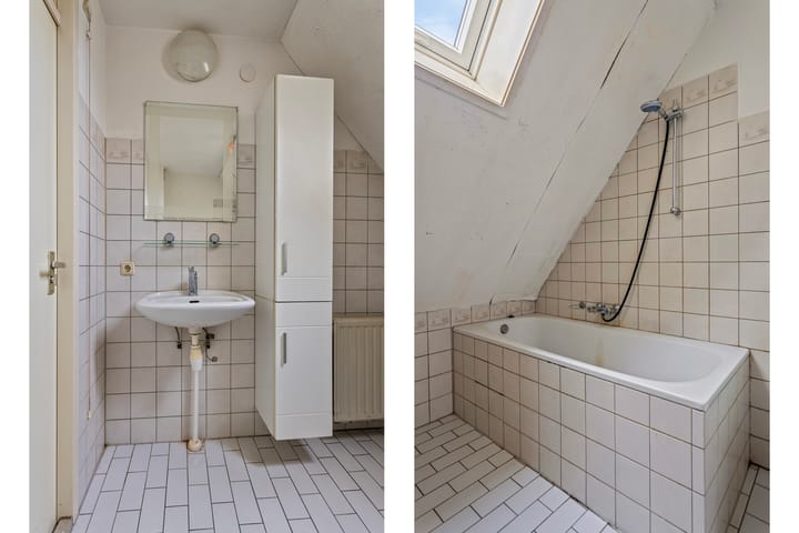 Photo 20 of Houtduif 11