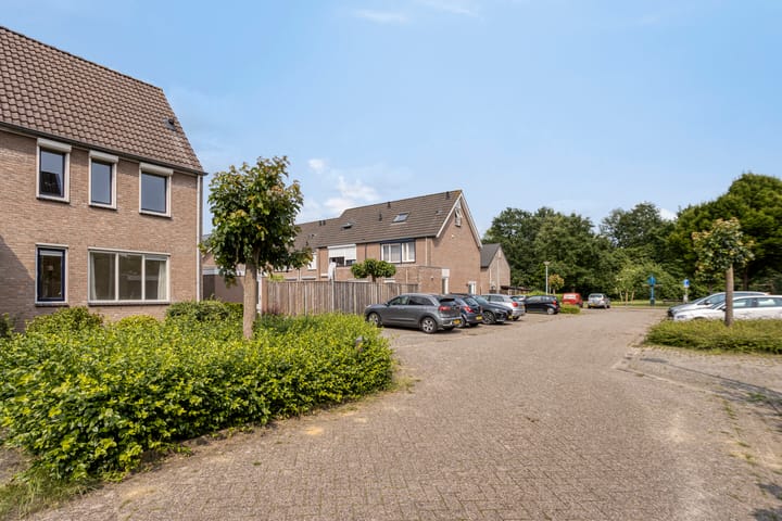 Photo 32 of Houtduif 11