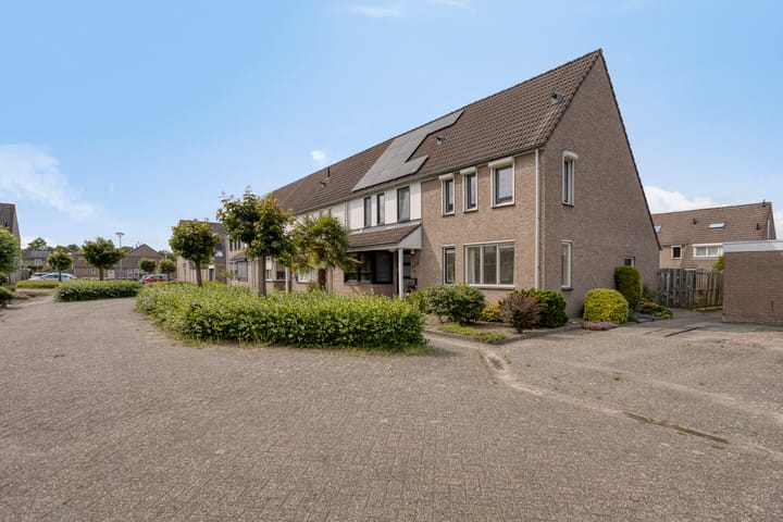 Photo 33 of Houtduif 11