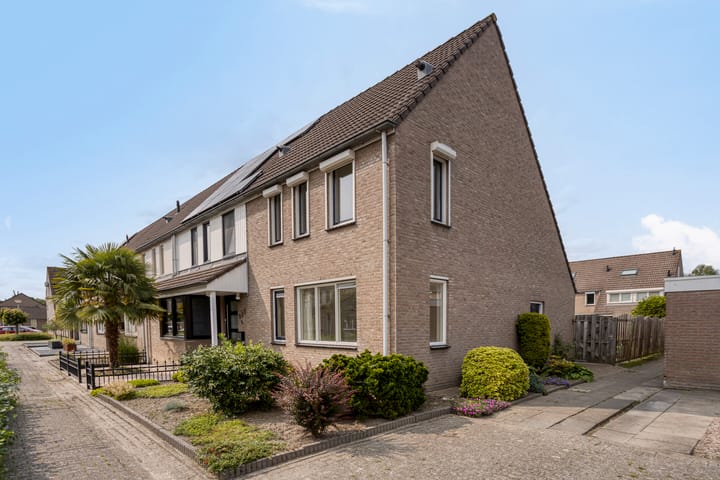 Photo 31 of Houtduif 11