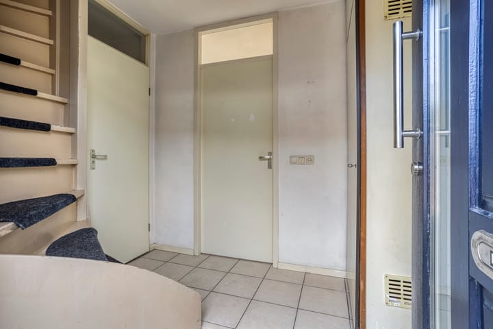 Foto 2 van Houtduif 11