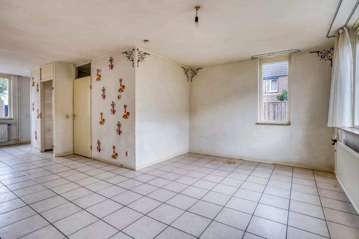 Foto 5 van Houtduif 11