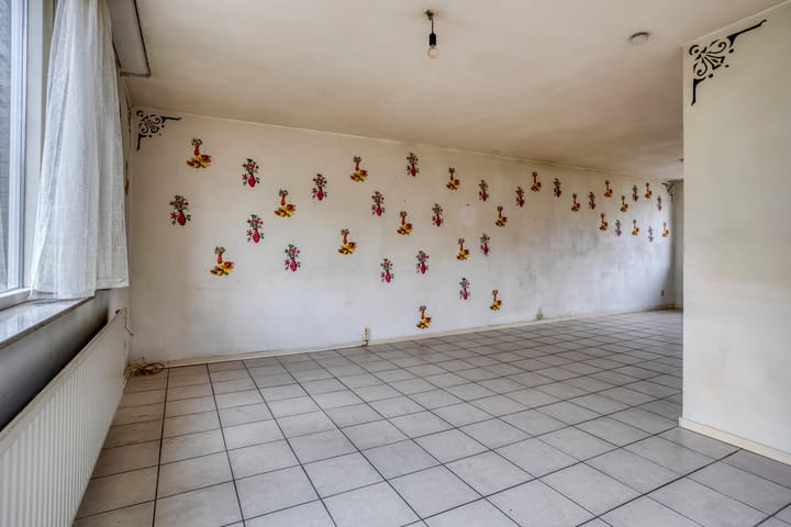 Photo 6 of Houtduif 11