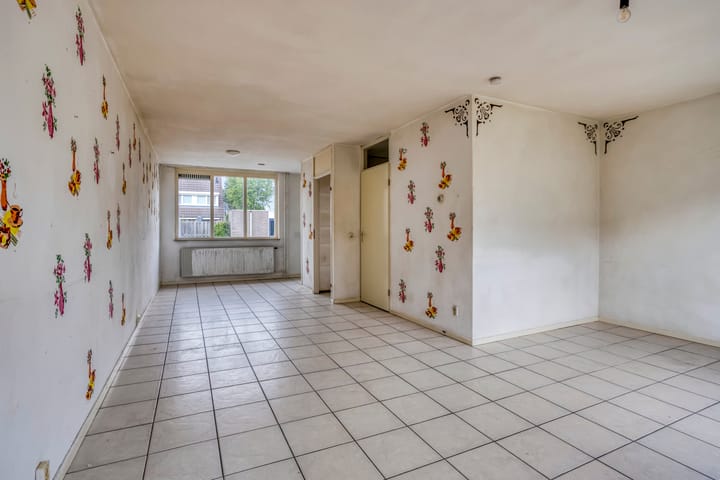 Photo 7 of Houtduif 11