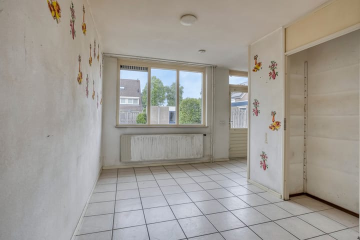 Photo 8 of Houtduif 11