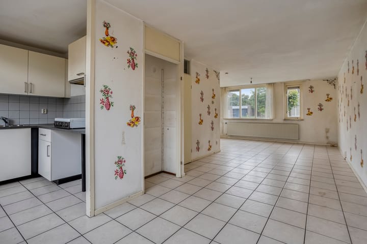 Photo 9 of Houtduif 11