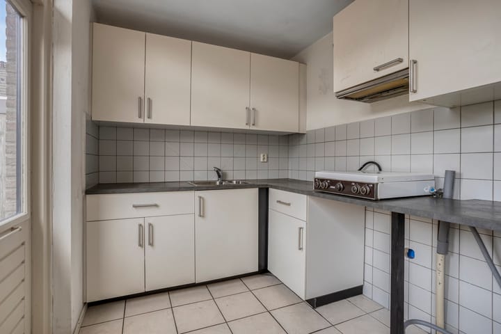 Photo 10 of Houtduif 11