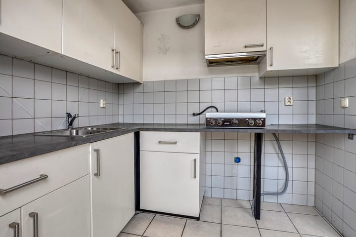 Photo 11 of Houtduif 11