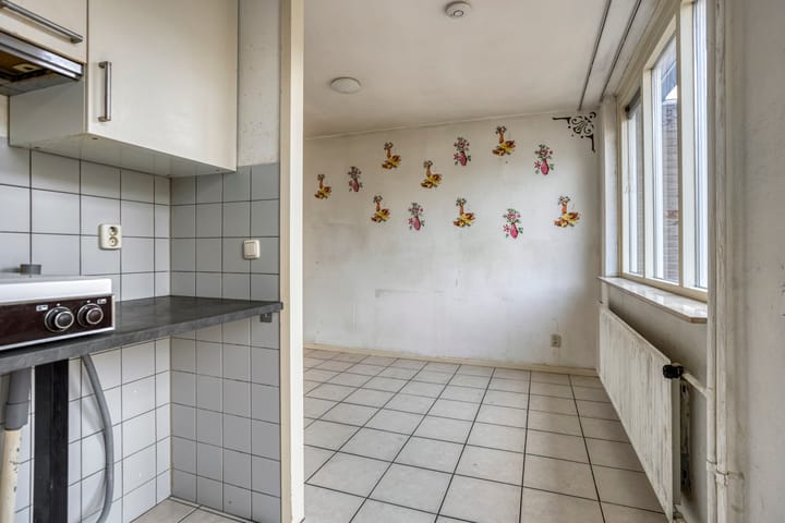 Photo 12 of Houtduif 11