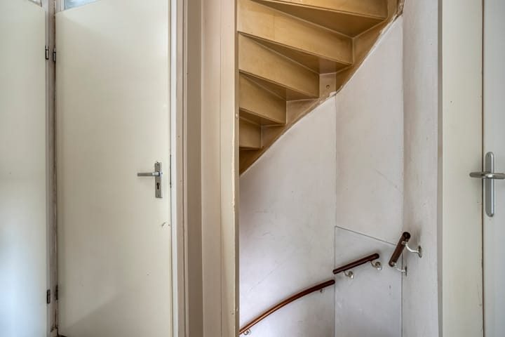 Photo 13 of Houtduif 11