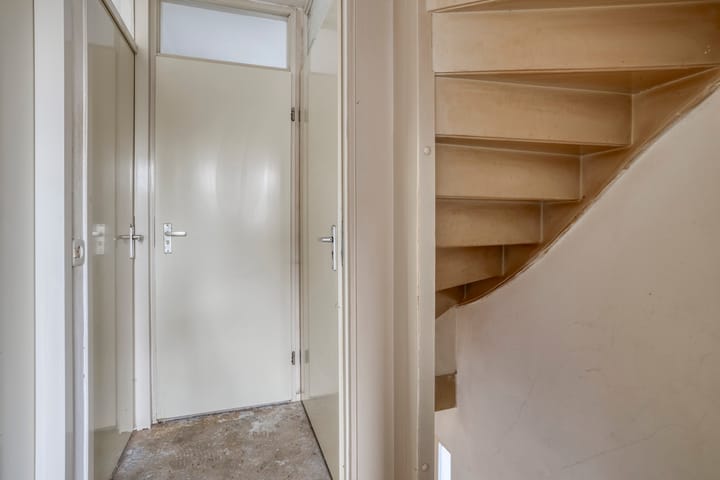 Photo 14 of Houtduif 11