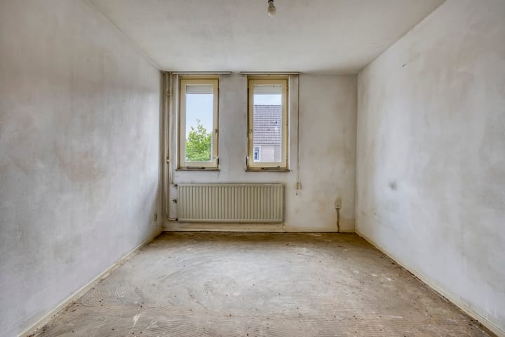 Photo 15 of Houtduif 11