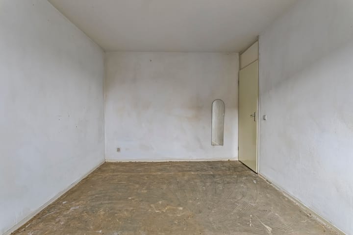 Photo 16 of Houtduif 11