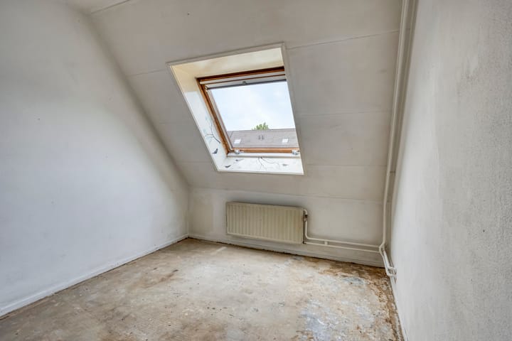 Photo 17 of Houtduif 11