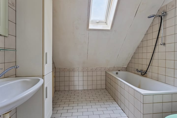 Photo 19 of Houtduif 11