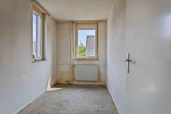 Photo 18 of Houtduif 11