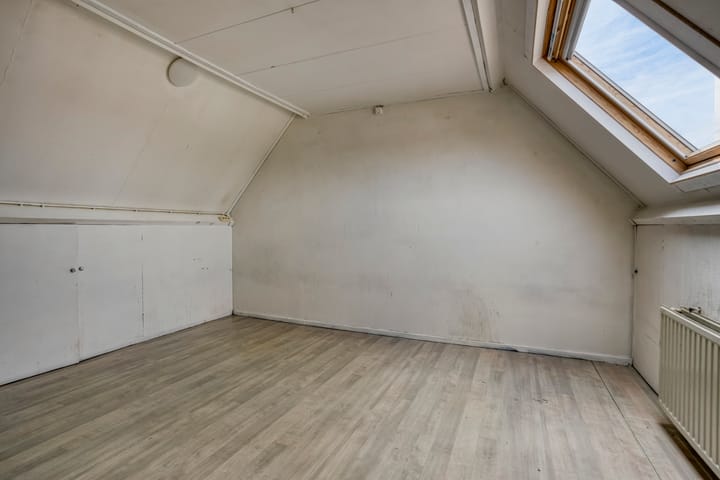 Photo 21 of Houtduif 11