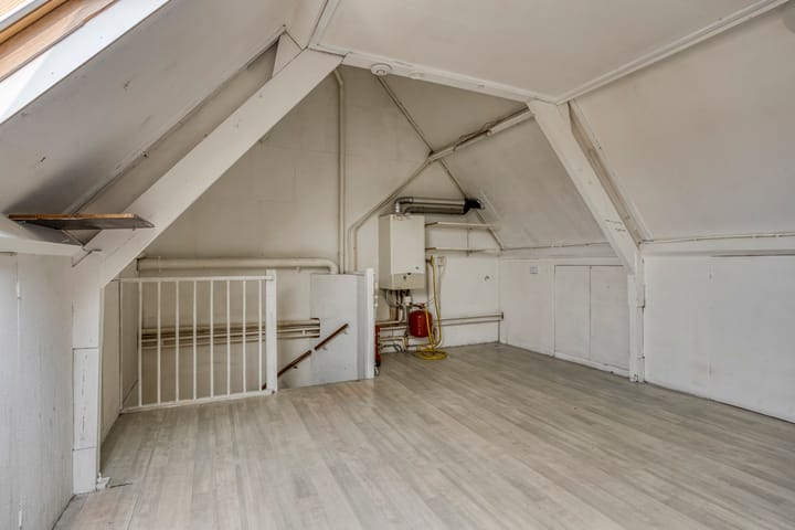 Photo 22 of Houtduif 11