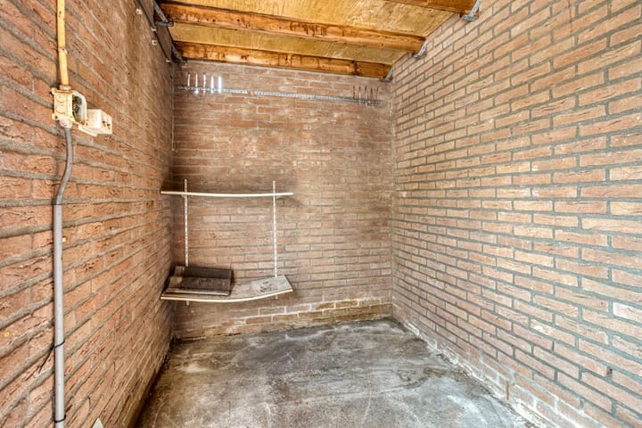 Photo 30 of Houtduif 11