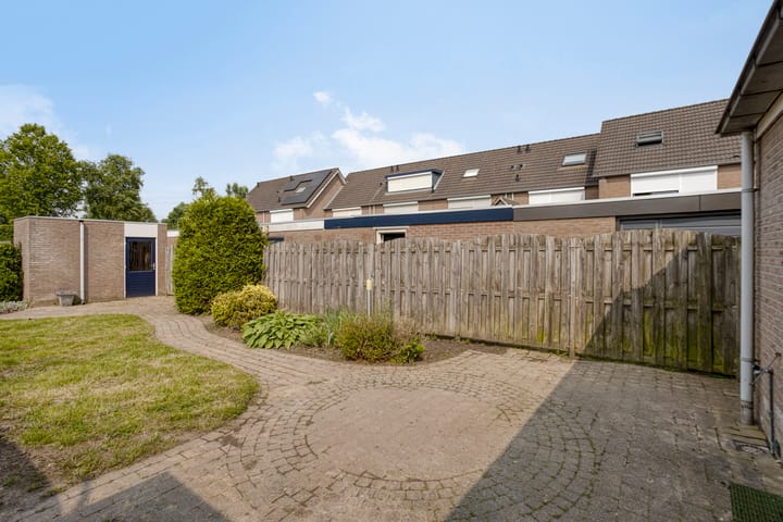 Photo 26 of Houtduif 11