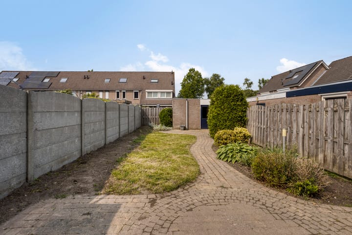 Photo 28 of Houtduif 11