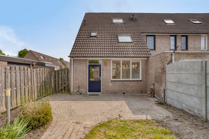 Photo 23 of Houtduif 11