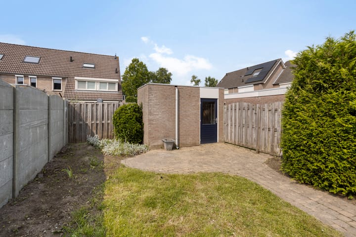 Photo 29 of Houtduif 11