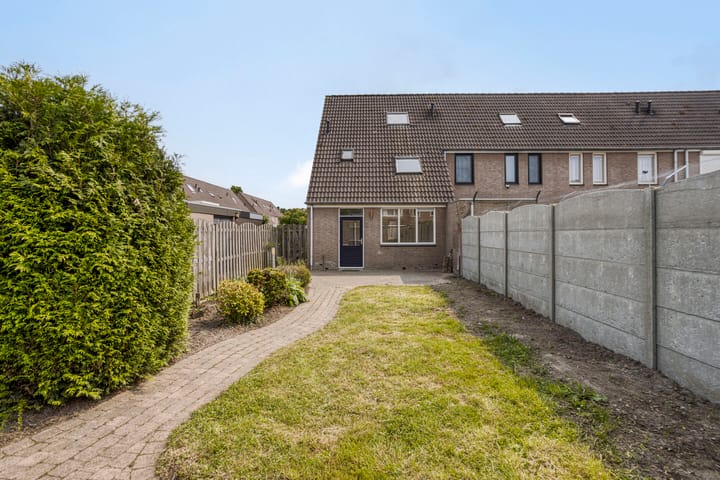 Photo 24 of Houtduif 11