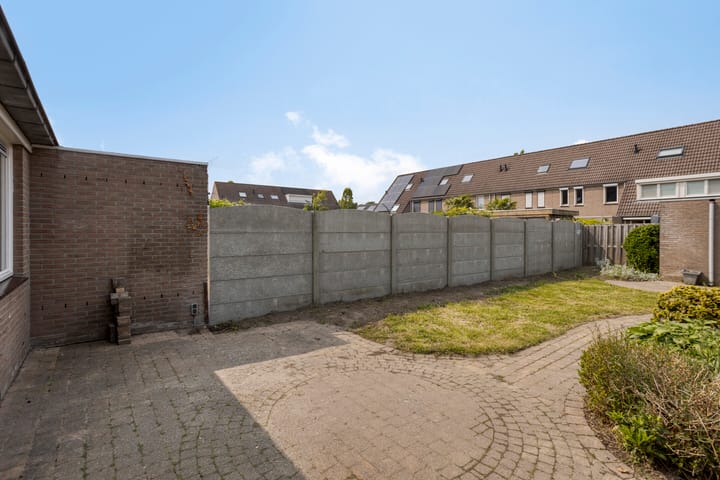 Photo 27 of Houtduif 11