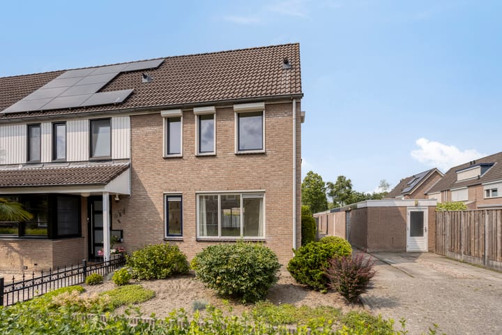 Bekijk foto van Houtduif 11