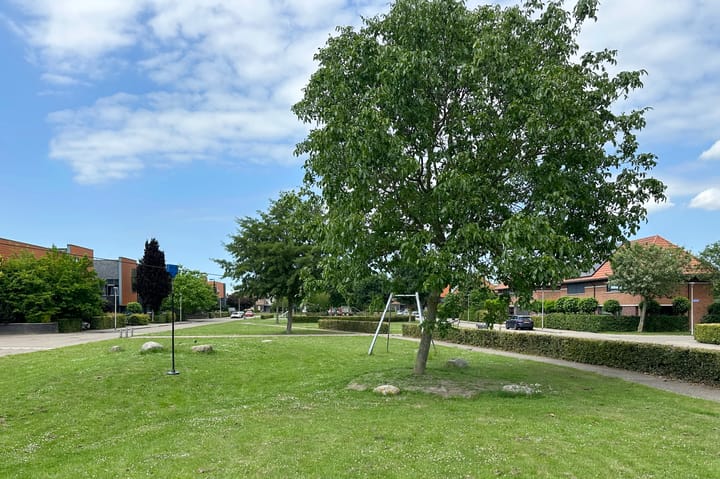 Photo 42 of Vlotgras 4