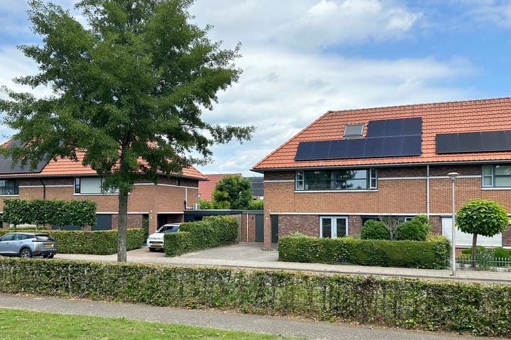 Photo 43 of Vlotgras 4