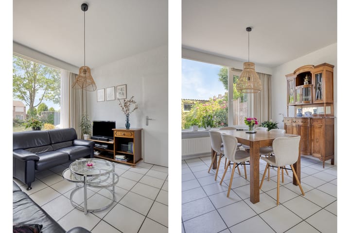 Foto 7 van de Genestetplantsoen 20