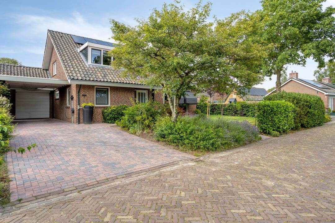 Foto 1 van Milhoes 2