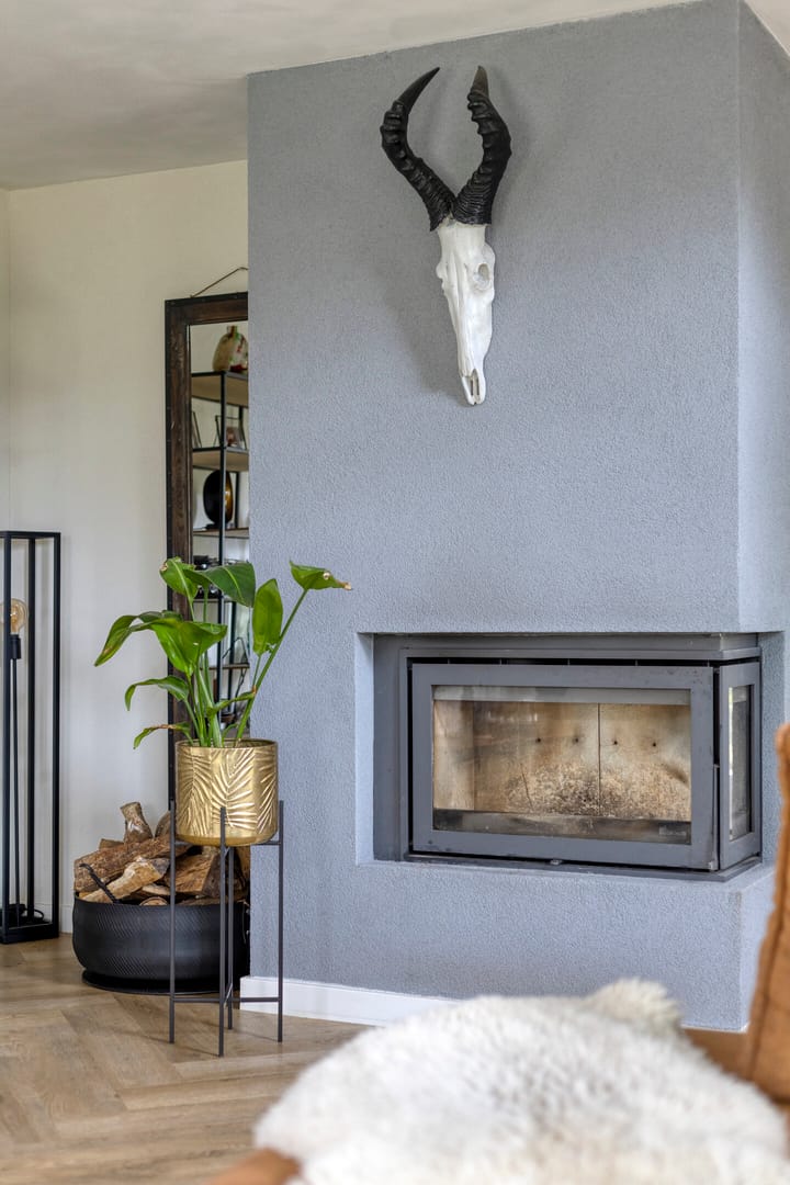 Foto 13 van Milhoes 2