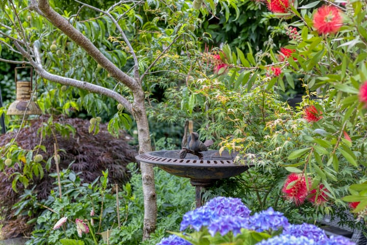 Foto 50 van Milhoes 2