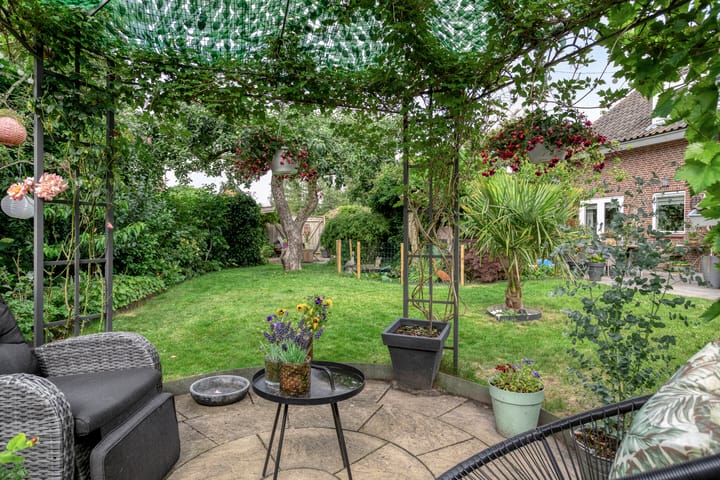 Foto 51 van Milhoes 2