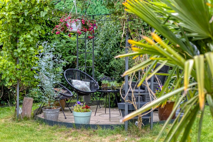 Foto 52 van Milhoes 2