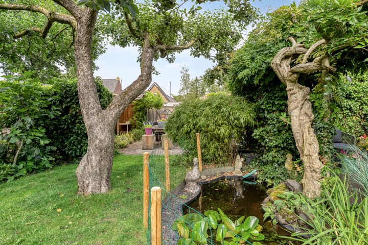 Foto 53 van Milhoes 2