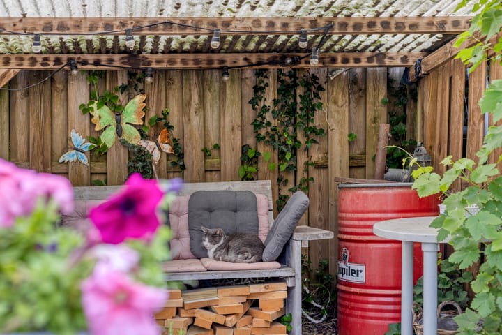 Foto 55 van Milhoes 2