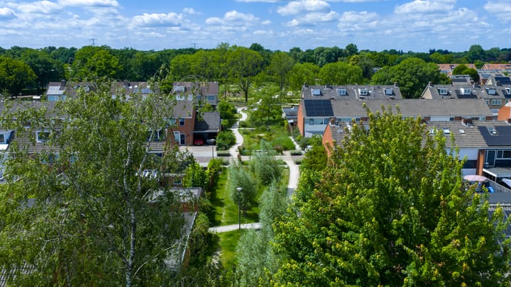 Foto 32 van Evertzenstraat 29