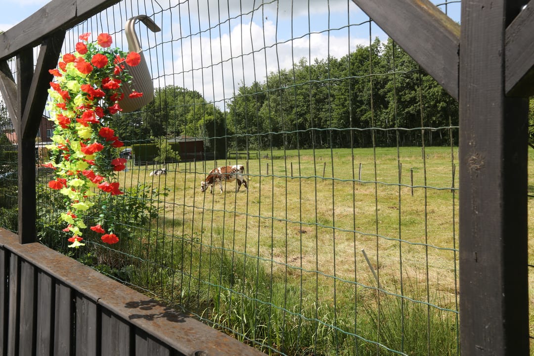 Foto 23 van Dûbelspul 13