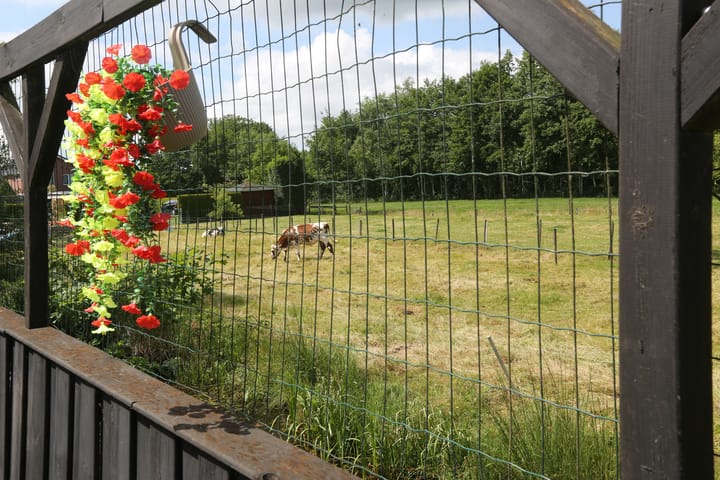 Foto 23 van Dûbelspul 13