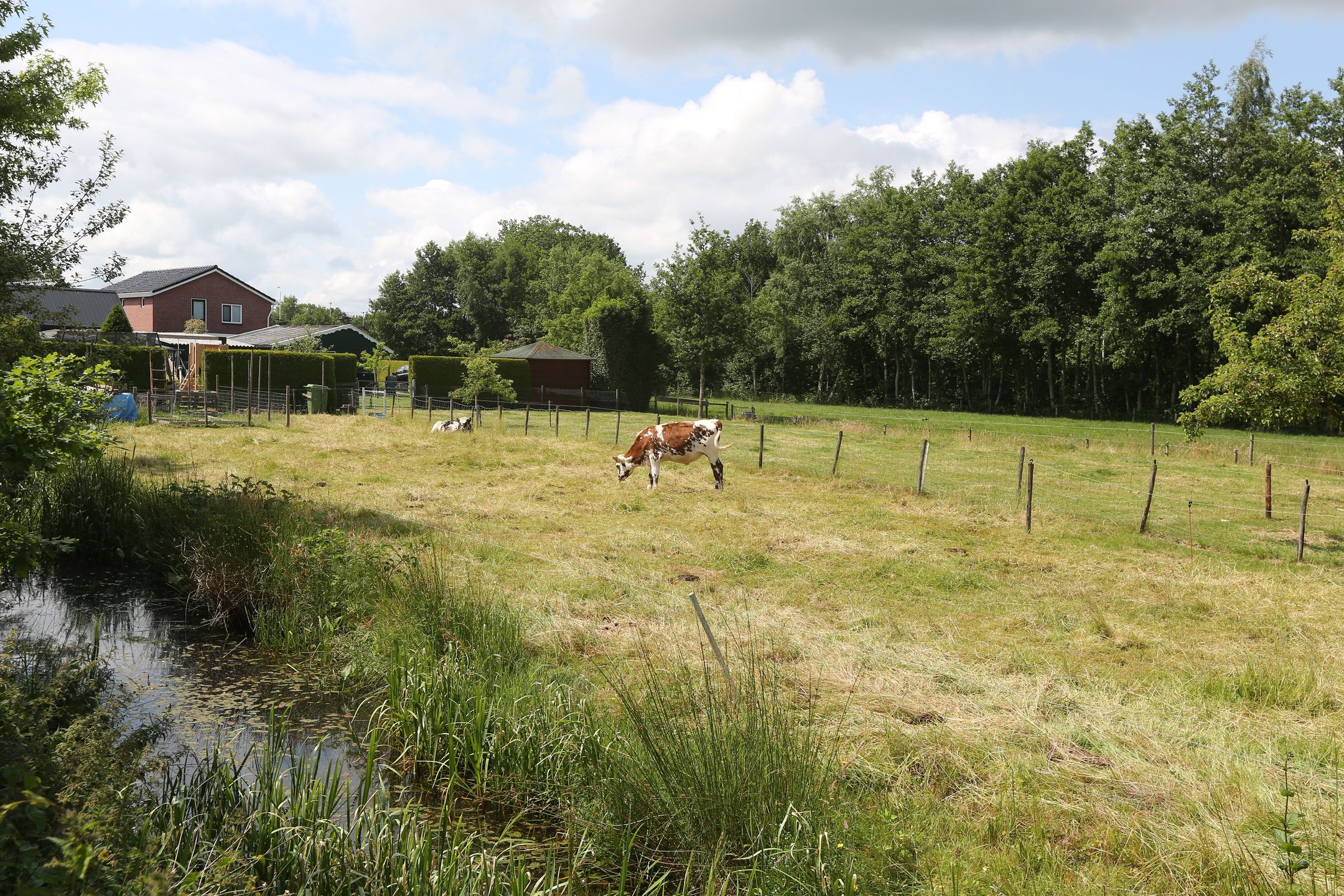 Foto 24 van Dûbelspul 13