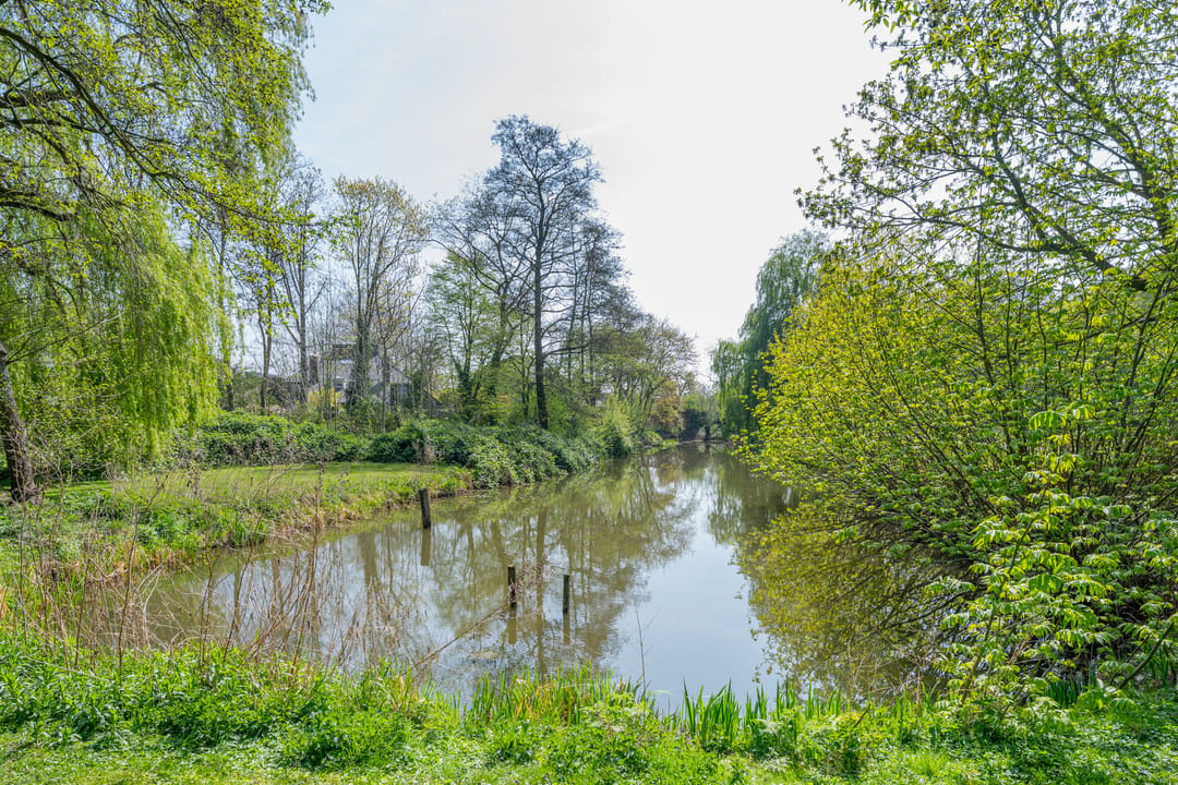 Photo 83 of Vuurvliegweide 8